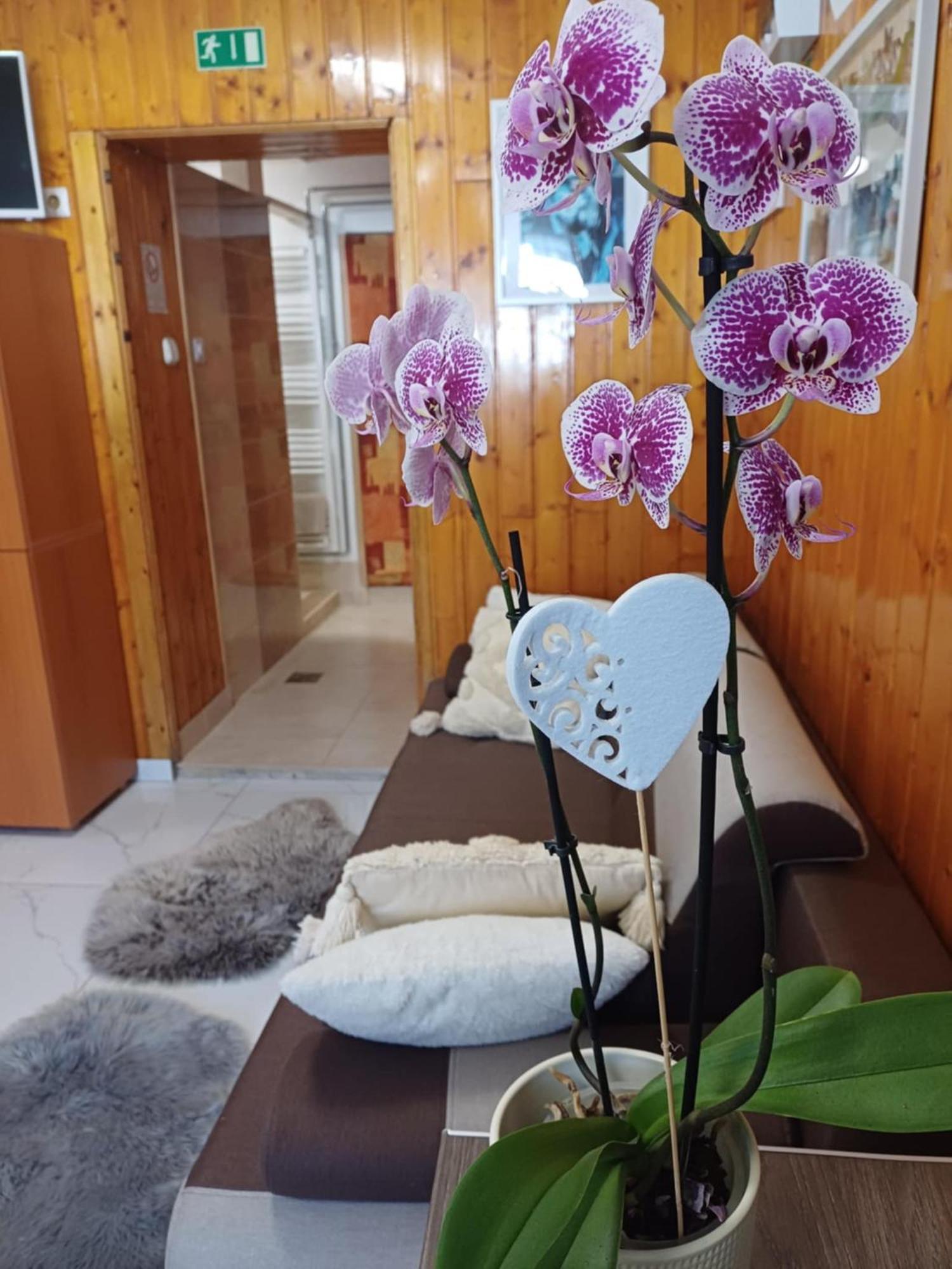 Unicum Vendeghaz Hotel Abádszalók Bagian luar foto